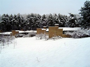 冬のキンゴーハウス