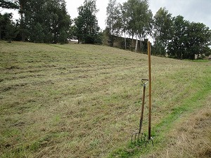 9月上旬に共同緑地の伸びた草が、機械で刈られた