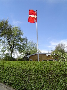 庭にたなびくダンネボー旗