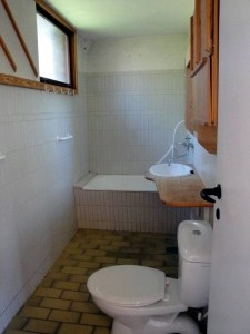 トイレは、浴槽を取り外し、シャワーのみの装置に取り替える。