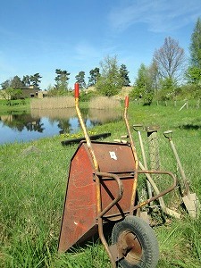 池の脇におかれた作業道具。